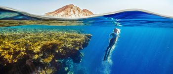 https://thumbor.avaibook.com/68X2W3B7ADL_NuIbloGUuFdZE1I=/350x150/nas.mount.thumbor/wl/196/65c1037647b01.jpeg