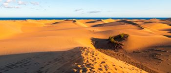 https://thumbor.avaibook.com/Z7s8oMcQQjjotnKh2IftvFF_gus=/350x150/nas.mount.thumbor/wl/380/67af3d0354e23.jpeg