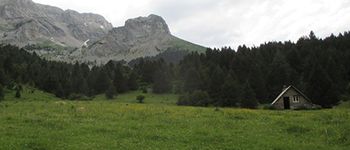 https://thumbor.avaibook.com/u5FGIS7BI4nYOjlDplKh3VTBDWE=/350x150/nas.mount.thumbor/wl/825/6a84bfbba5468.jpeg